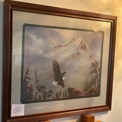 Eagle Picture