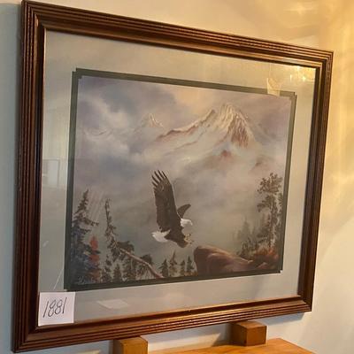 Eagle Picture