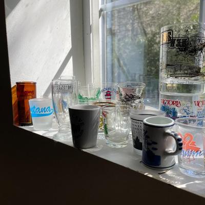 Lot of Assorted Rocks and Shot Glasses