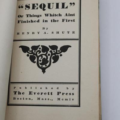 “Sequil" The Real Diary of a Real Boy