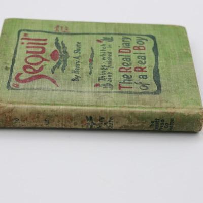 “Sequil" The Real Diary of a Real Boy