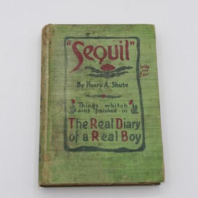 “Sequil" The Real Diary of a Real Boy