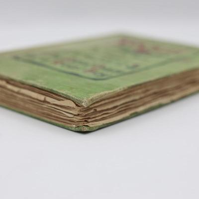 “Sequil" The Real Diary of a Real Boy