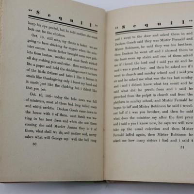 “Sequil" The Real Diary of a Real Boy
