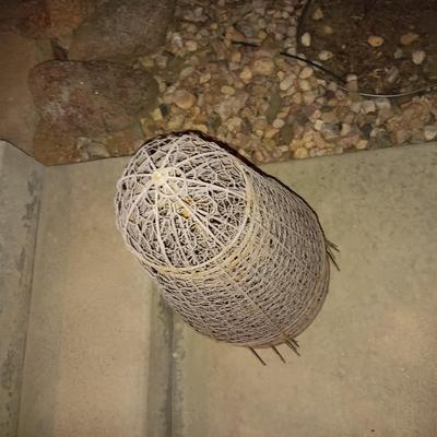 6 PLANT CAGES THAT COMPLETELY COVER & PROTECT YOUR OUTDOOR PLANTS