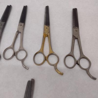 Assorted Barber/Salon Scissors Choice C