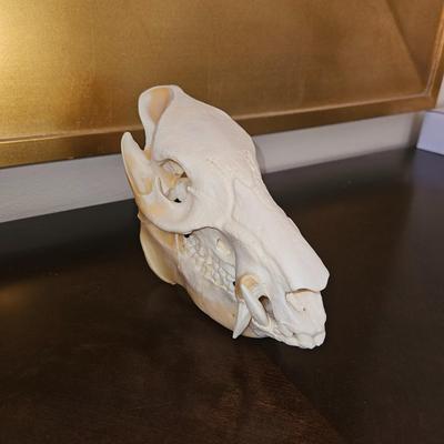 ANIMAL SKULL