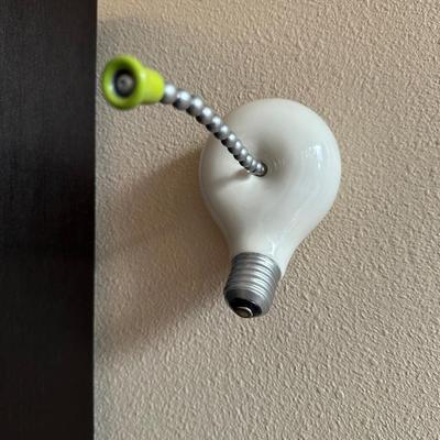 Sean O’Meallie - Brite Idea: Light Where You Need It, 2019