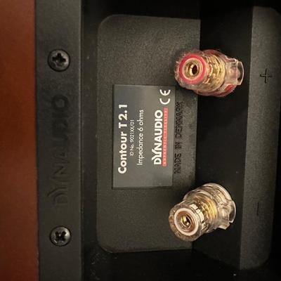 Dynaudio Speakers w/ Stands