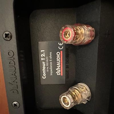 Dynaudio Speakers w/ Stands