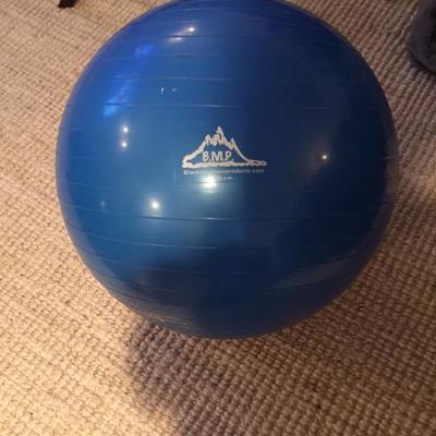 Lot of 2 Exercise Balls 