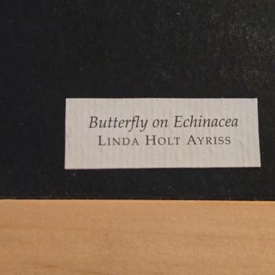 Linda Holt Ayriss 'Butterfly on Echinacea' Print