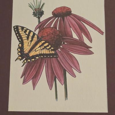Linda Holt Ayriss 'Butterfly on Echinacea' Print