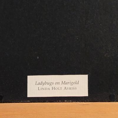 Linda Holt Ayriss 'Ladybugs on Marigold' Print