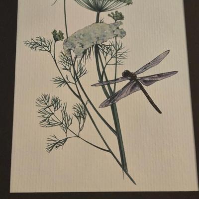 Linda Holt Ayriss ' Dragonfly on Queen Anne's Lace' Print