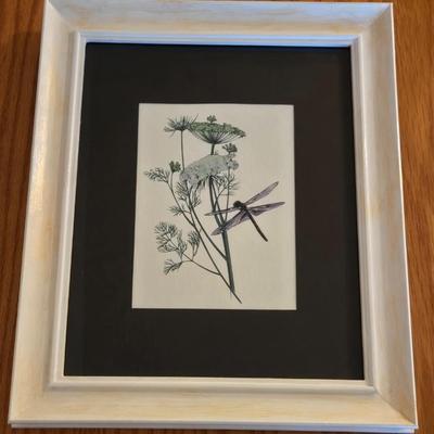 Linda Holt Ayriss ' Dragonfly on Queen Anne's Lace' Print