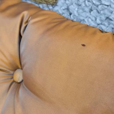 (3) Decorative Pillow