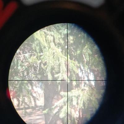 3X - 9X Burris fullfield wide angle Hillme Firearm scope