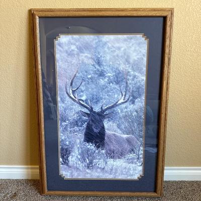 LARGE PICTURE OF A BULL ELK