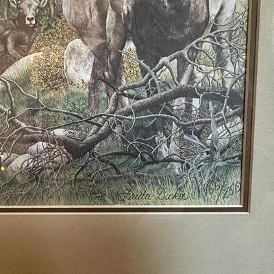 SIGNED & NUMBERED PRINT OF BIG HORN SHEEP BY FREDA DICKIE