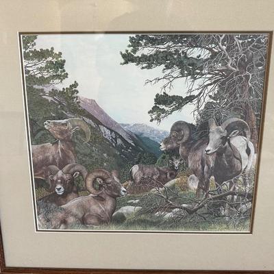 SIGNED & NUMBERED PRINT OF BIG HORN SHEEP BY FREDA DICKIE