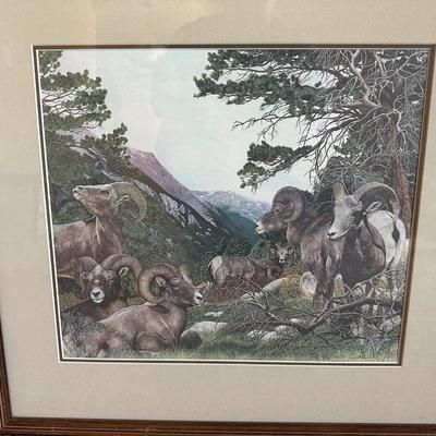 SIGNED & NUMBERED PRINT OF BIG HORN SHEEP BY FREDA DICKIE