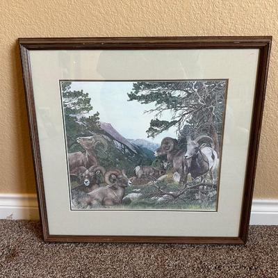 SIGNED & NUMBERED PRINT OF BIG HORN SHEEP BY FREDA DICKIE