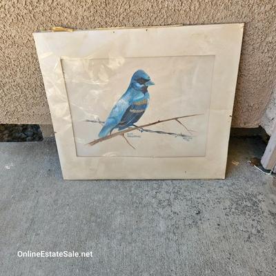 BLUE JAY PRINT