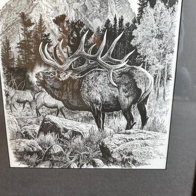 2 - WILDLIFE SIGNED PRINTS