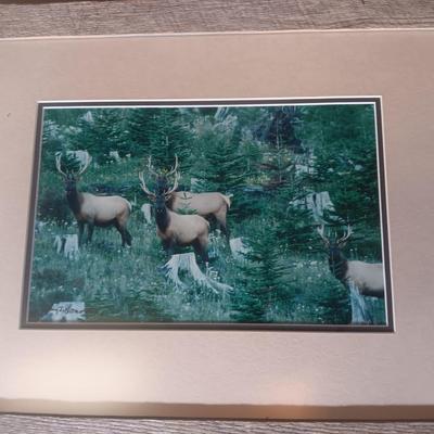 A PHOTO AND SKETCH OF ELK IN BARN WOOD FRAMES