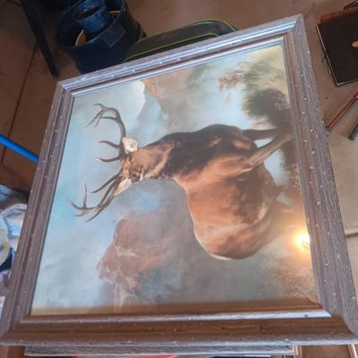 FRAMED PICTURE OF AN ELK