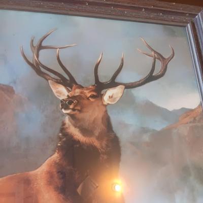 FRAMED PICTURE OF AN ELK