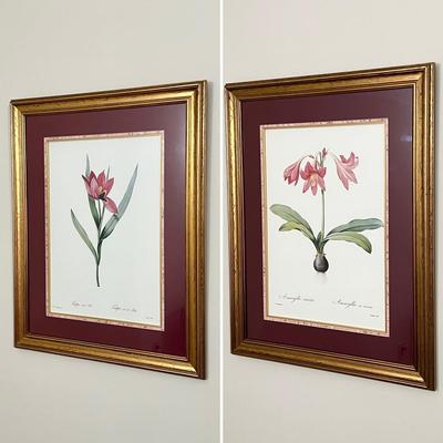 Pair (2) Framed Floral Prints
