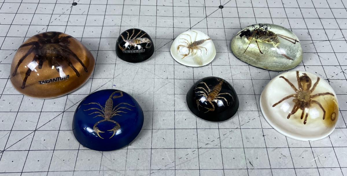 Large Tarantula Paper Weight - Desk Accessory And Display Piece