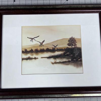 Water Color by F. Massey of Canadian Geese, Framed