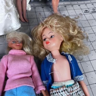 Giant Lot of Barbie and Skippers 
