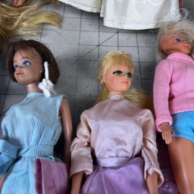 Giant Lot of Barbie and Skippers 