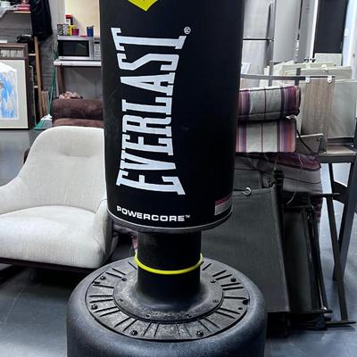 EVERLAST Power Core Punching Bag 