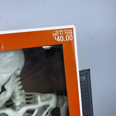 Glow in the DARK Posable Skeleton, Life Size
