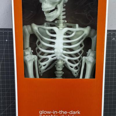 Glow in the DARK Posable Skeleton, Life Size