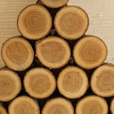 Sliced Wood Christmas Wall Hangings