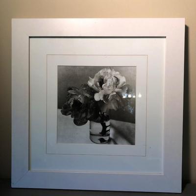 LOT 87D: Framed Photography incl. Signed & Numbered M. Parker Coly (2/30)