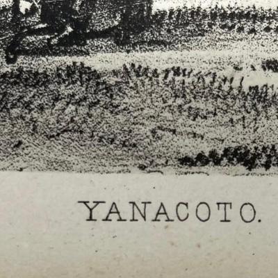 Wagner & McGuigan's Lith, Yanacoto