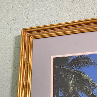 Tropical Beach Front Framed Poster
