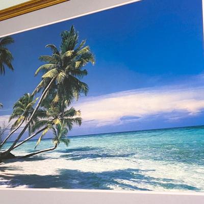 Tropical Beach Front Framed Poster