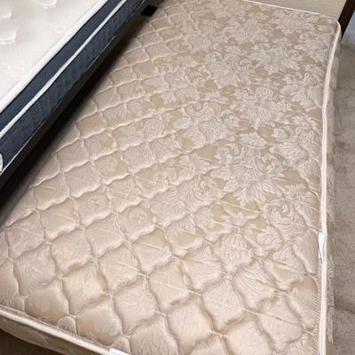 Twin Metal Bed With Trundle Bed