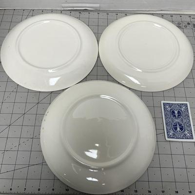 Set of 3 Collectible Plates