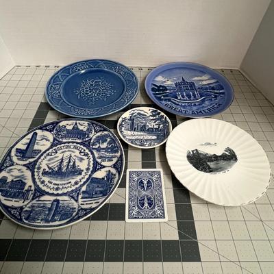 5 Set of Printed Decorative Plates