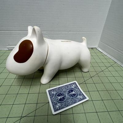 Bull Terrier Dog Ask Maxine the Mis-Fortune Teller Jump Rope