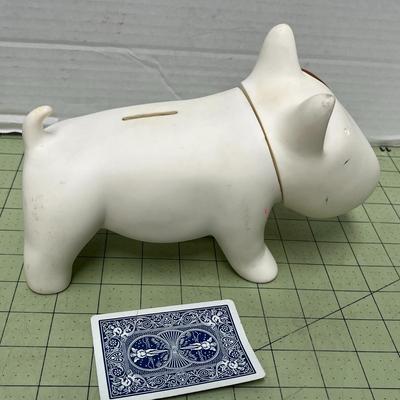 Bull Terrier Dog Ask Maxine the Mis-Fortune Teller Jump Rope